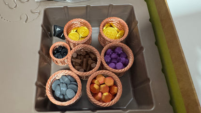 Set de recursos premium Everdell